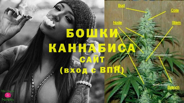ешки Инта