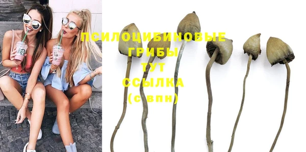 тгк Инсар