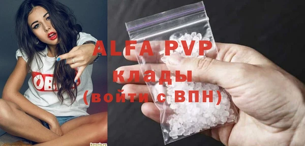тгк Инсар