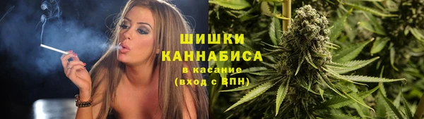 тгк Инсар