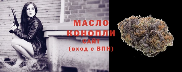 тгк Инсар