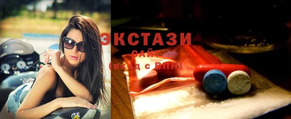 тгк Инсар
