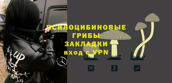 ешки Инта