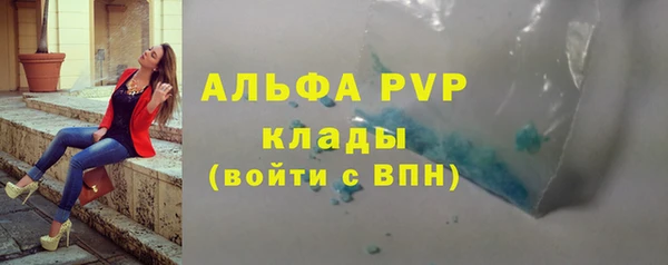 ешки Инта