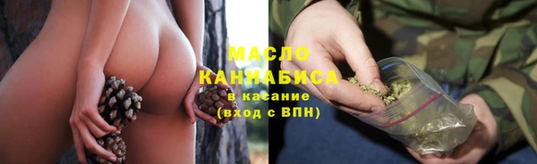 тгк Инсар