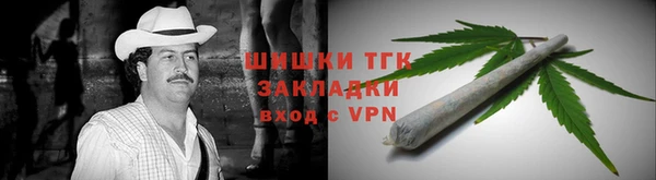 тгк Инсар