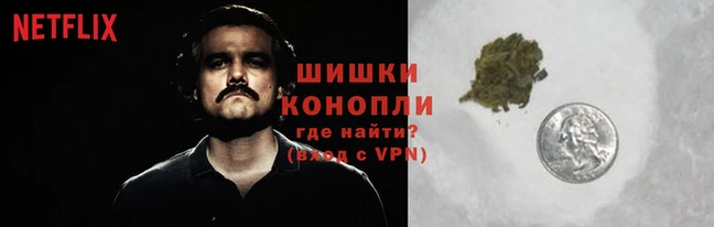 тгк Инсар