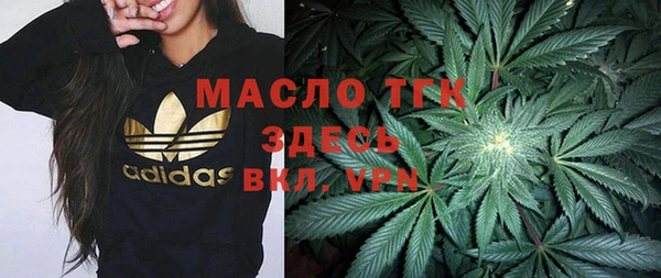 ешки Инта