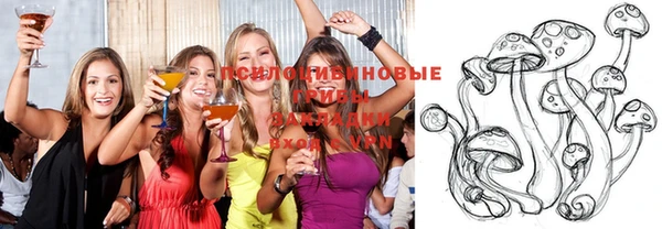 тгк Инсар