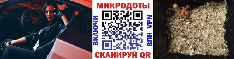 Галлюциногенные грибы Cubensis Видное